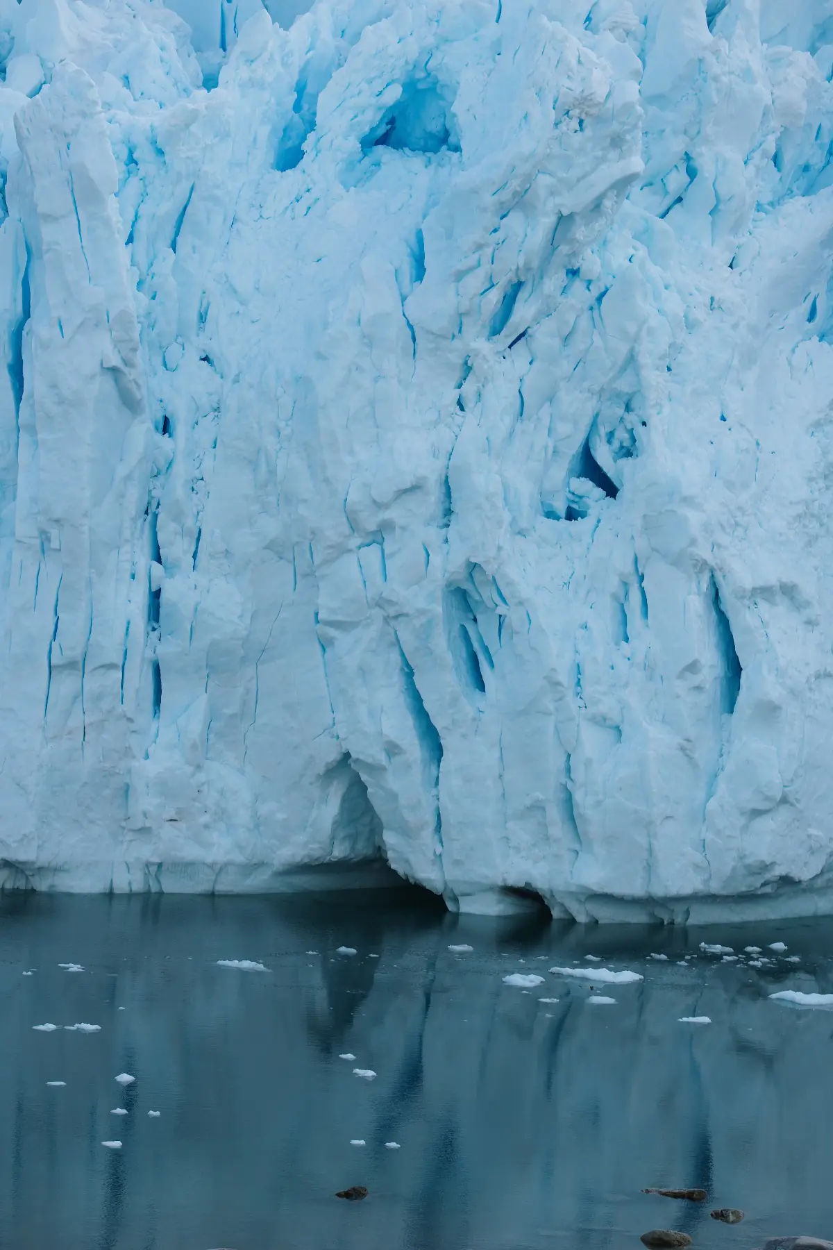 Антарктида 2026. фото 81