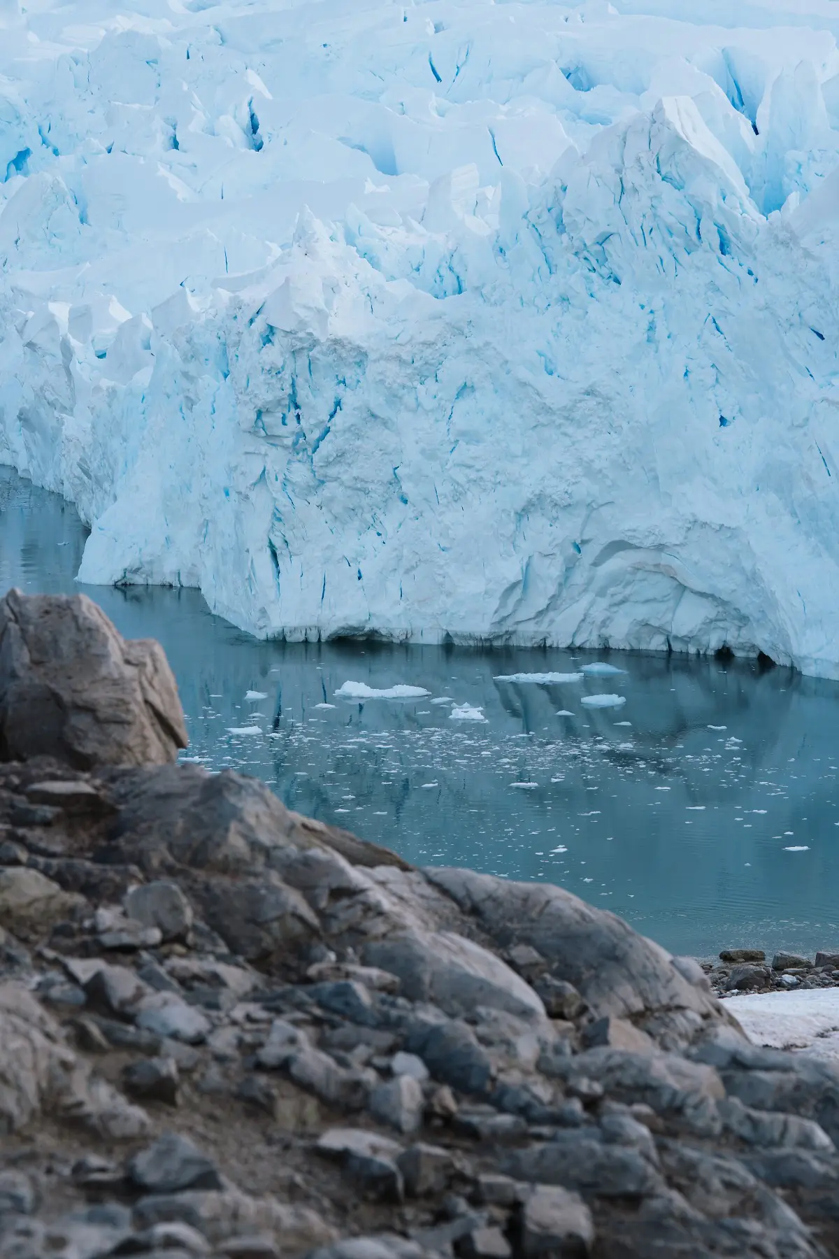 Антарктида 2026. фото 83
