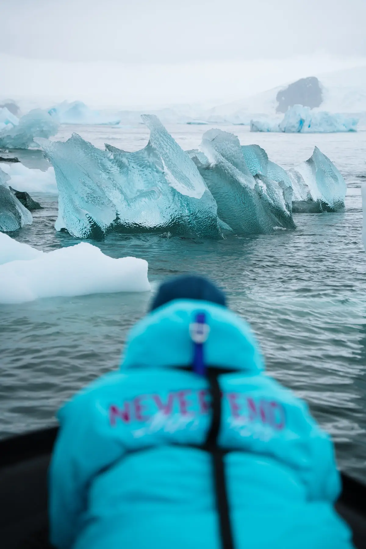 Антарктида 2026. фото 95