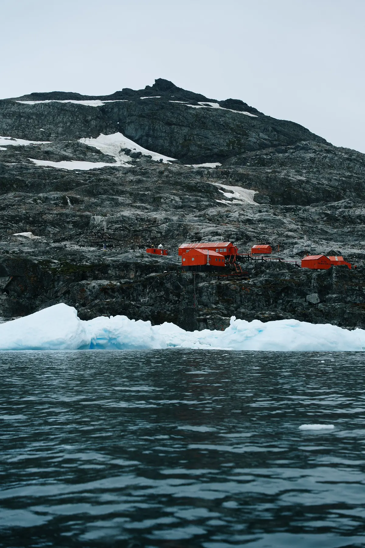 Антарктида 2026. фото 98