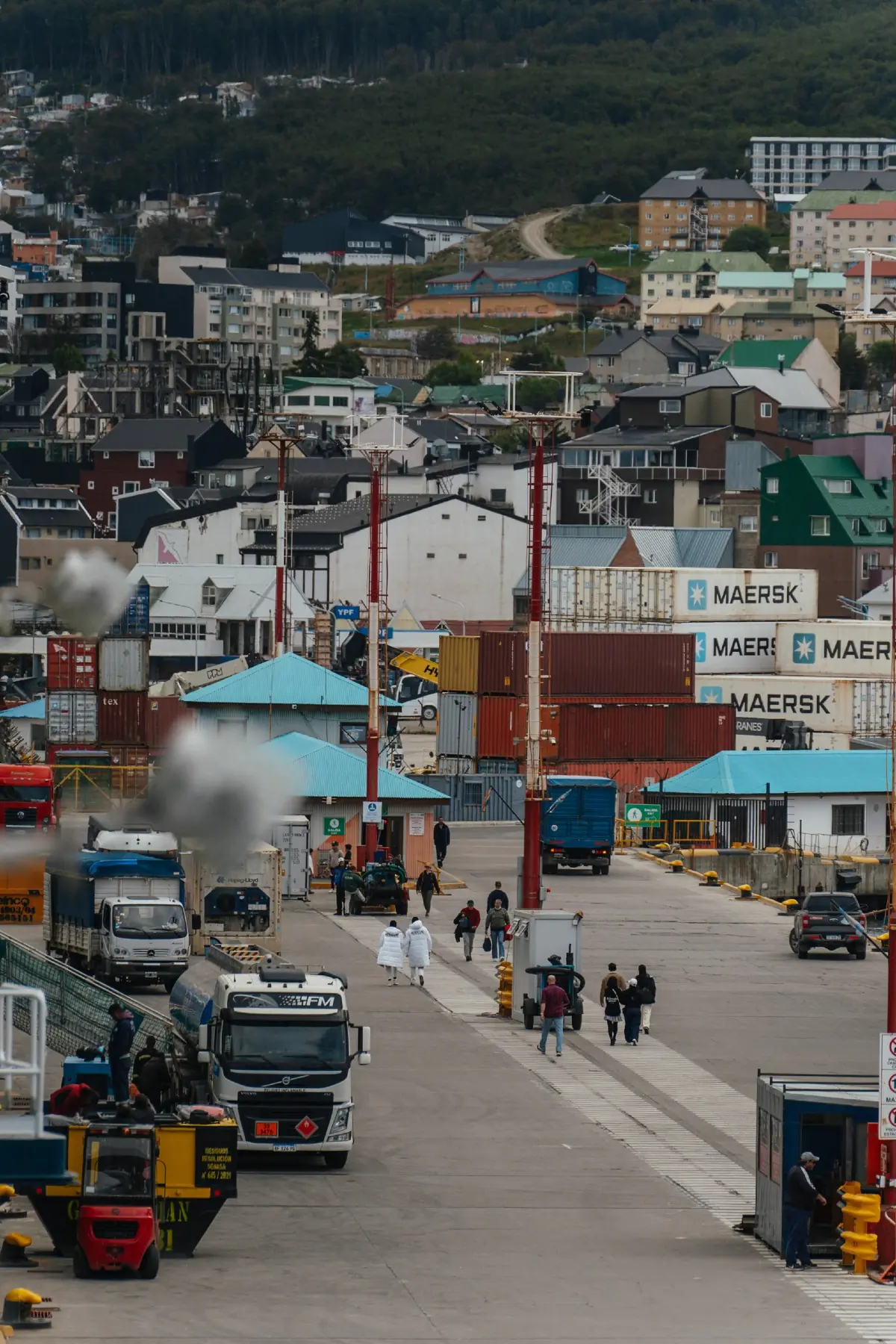 Антарктида 2026. фото 115