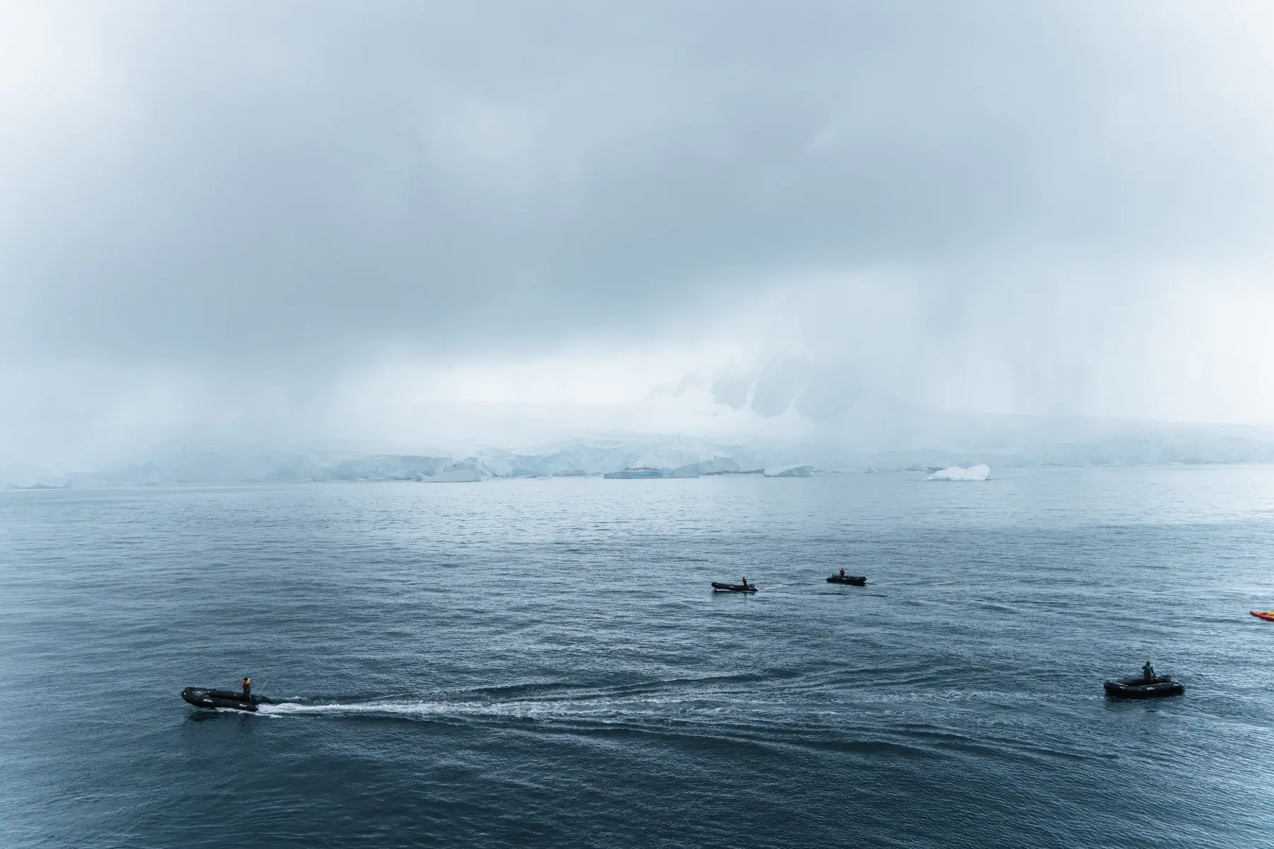 Антарктида 2026. фото 127