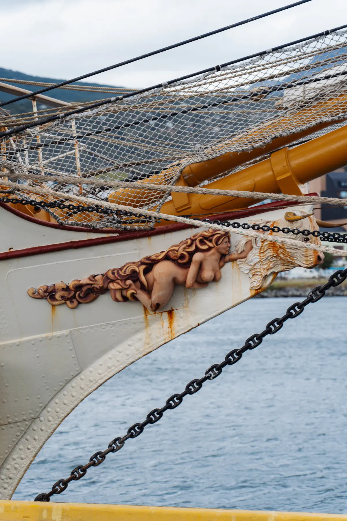 Антарктида 2026. фото 129