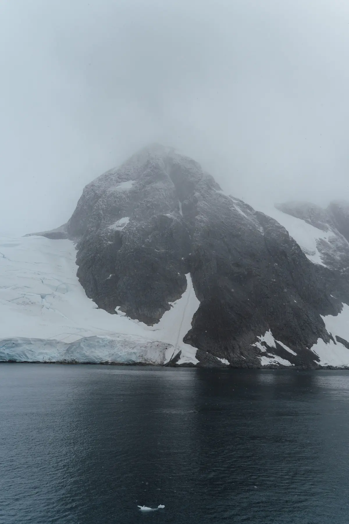 Антарктида 2026. фото 134