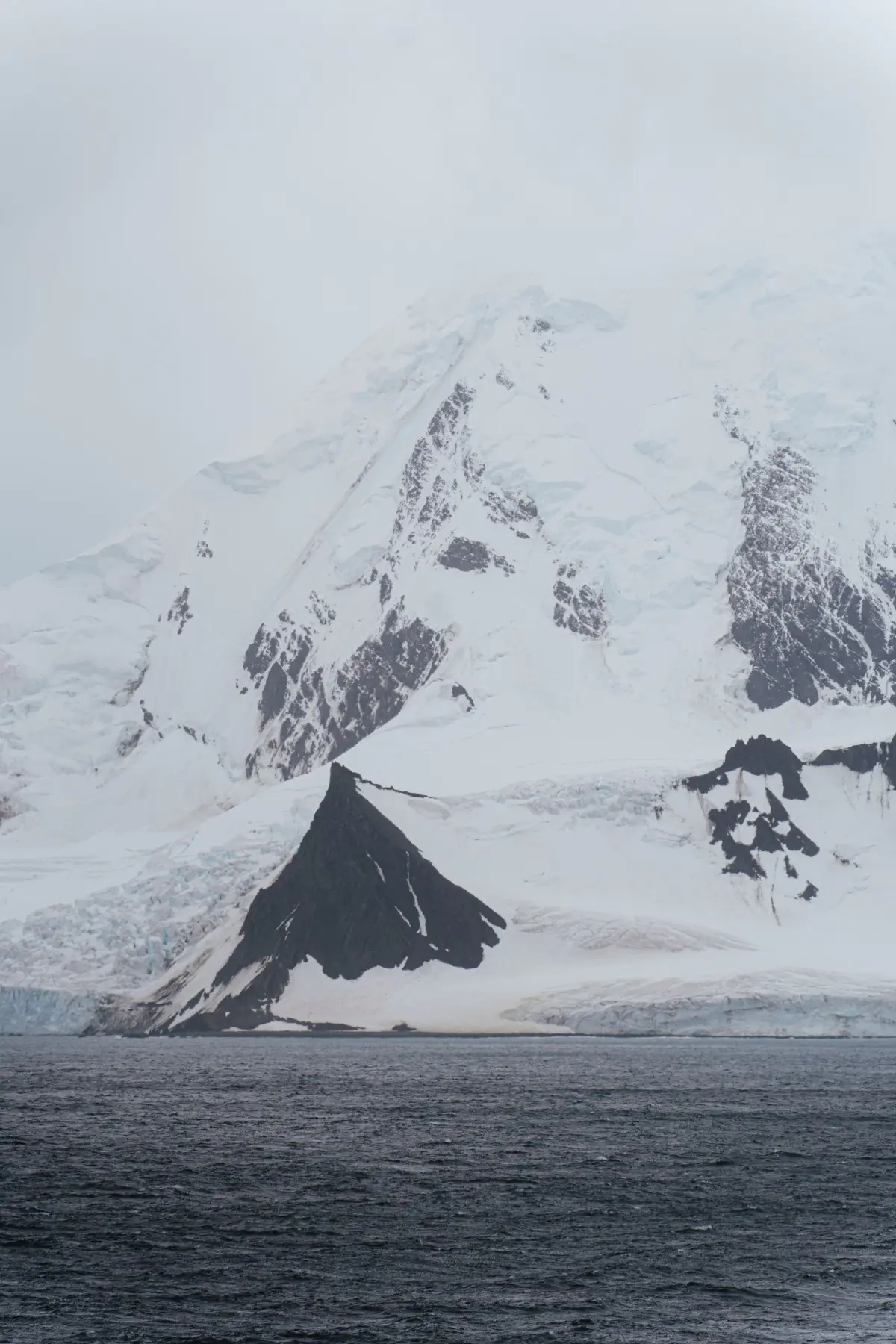 Антарктида 2026. фото 136