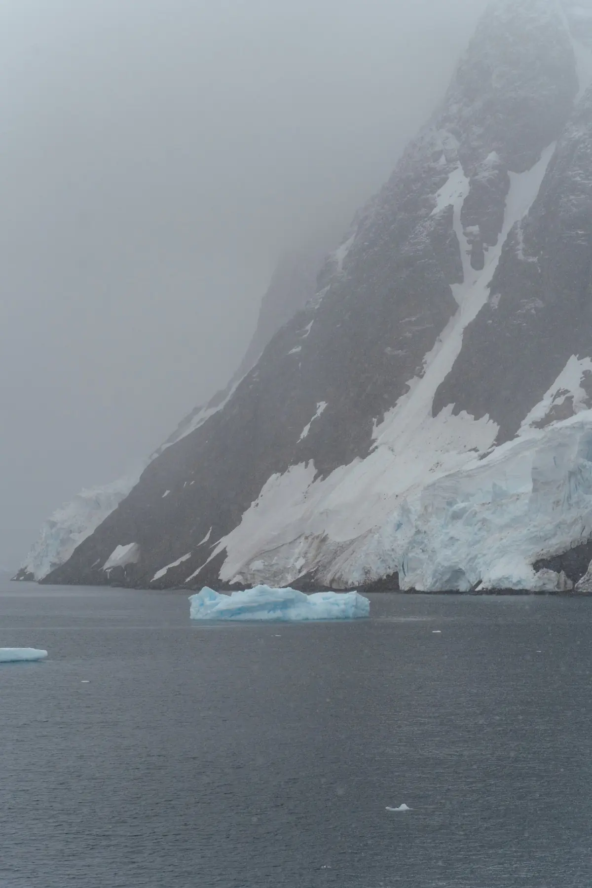 Антарктида 2026. фото 138