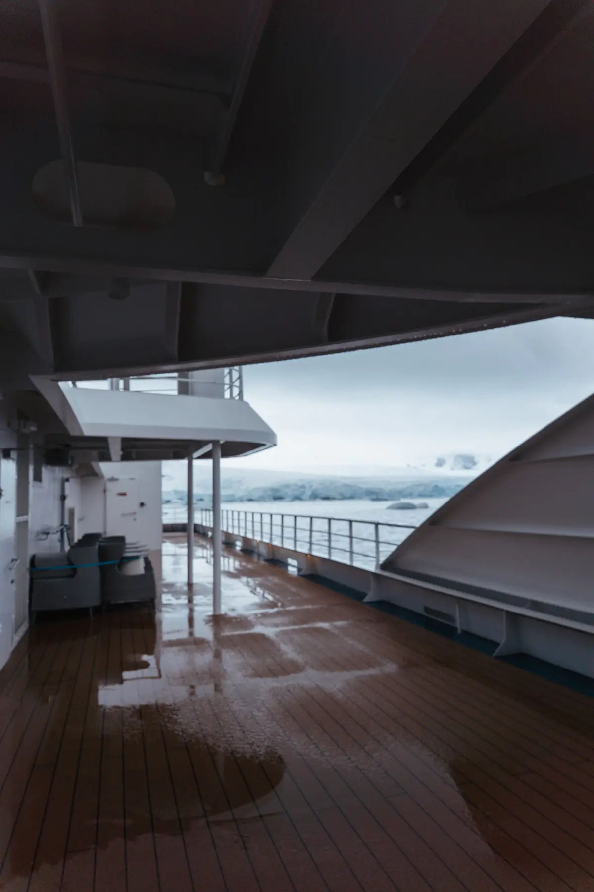 Антарктида 2026. фото 141