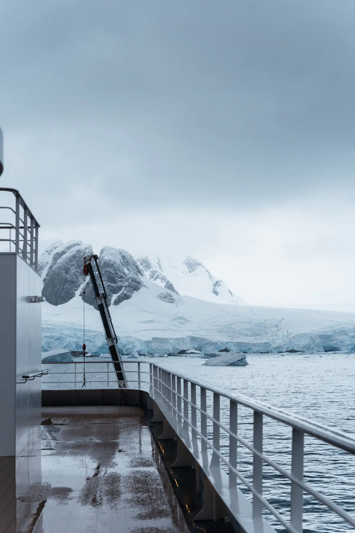 Антарктида 2026. фото 142