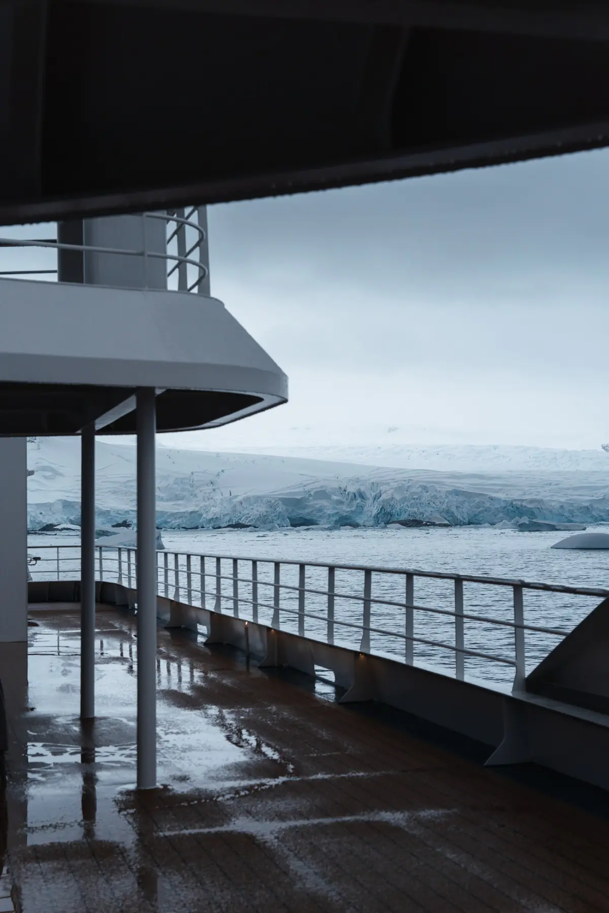 Антарктида 2026. фото 143