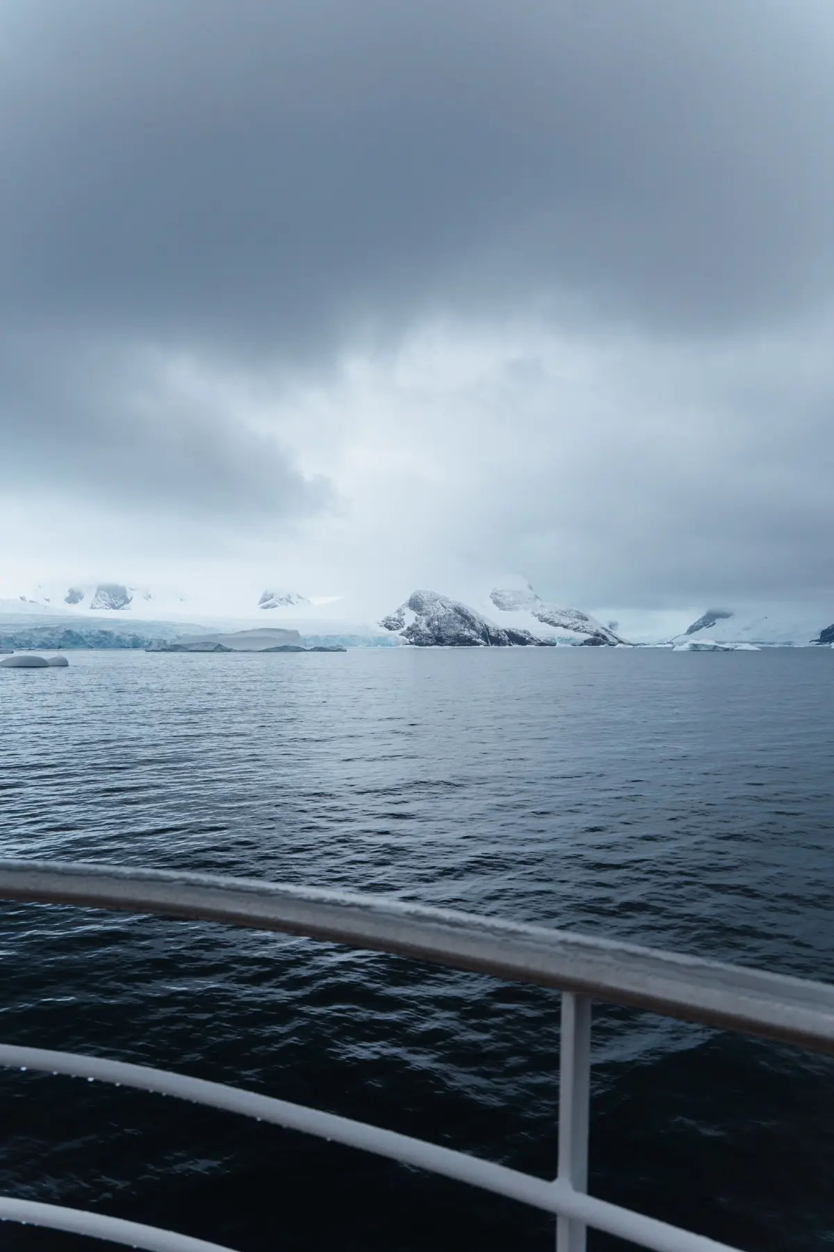 Антарктида 2026. фото 147