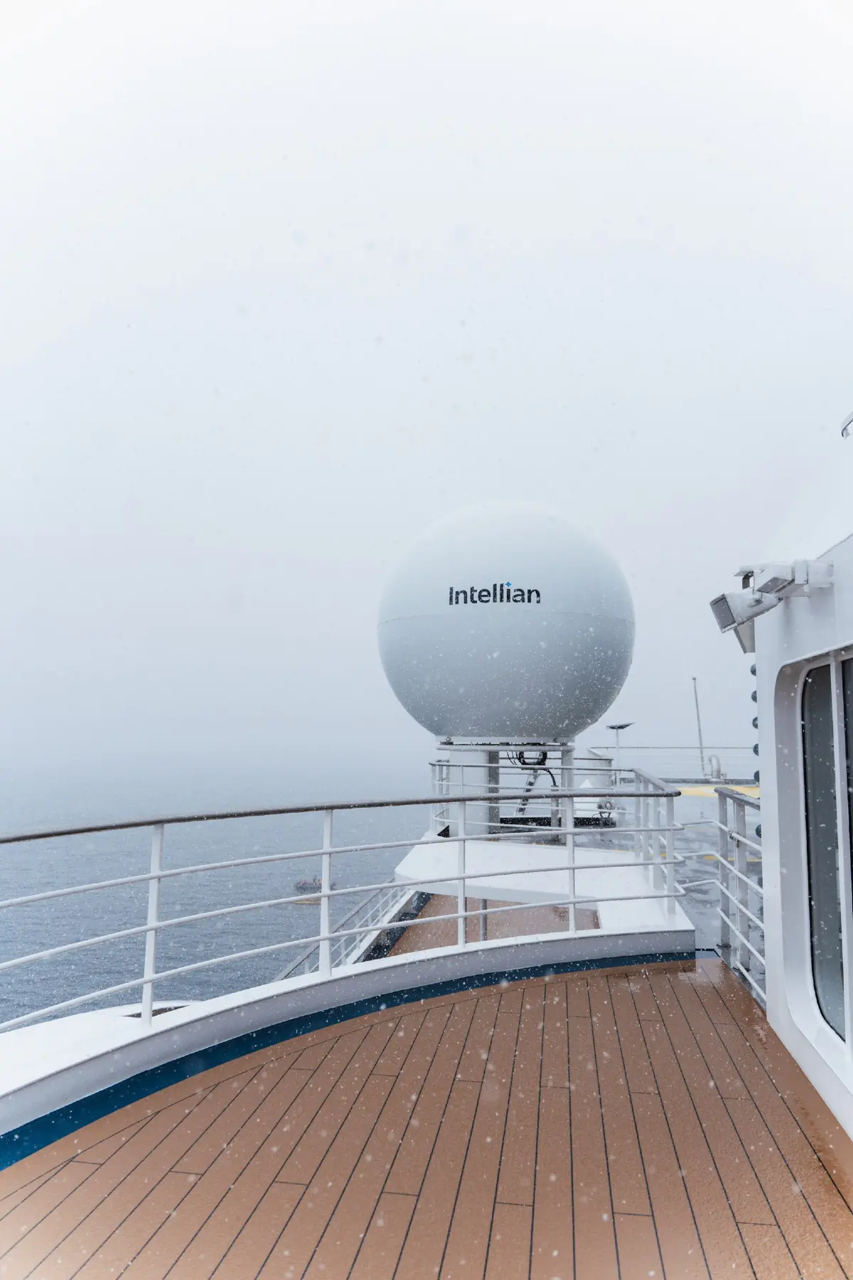 Антарктида 2026. фото 151