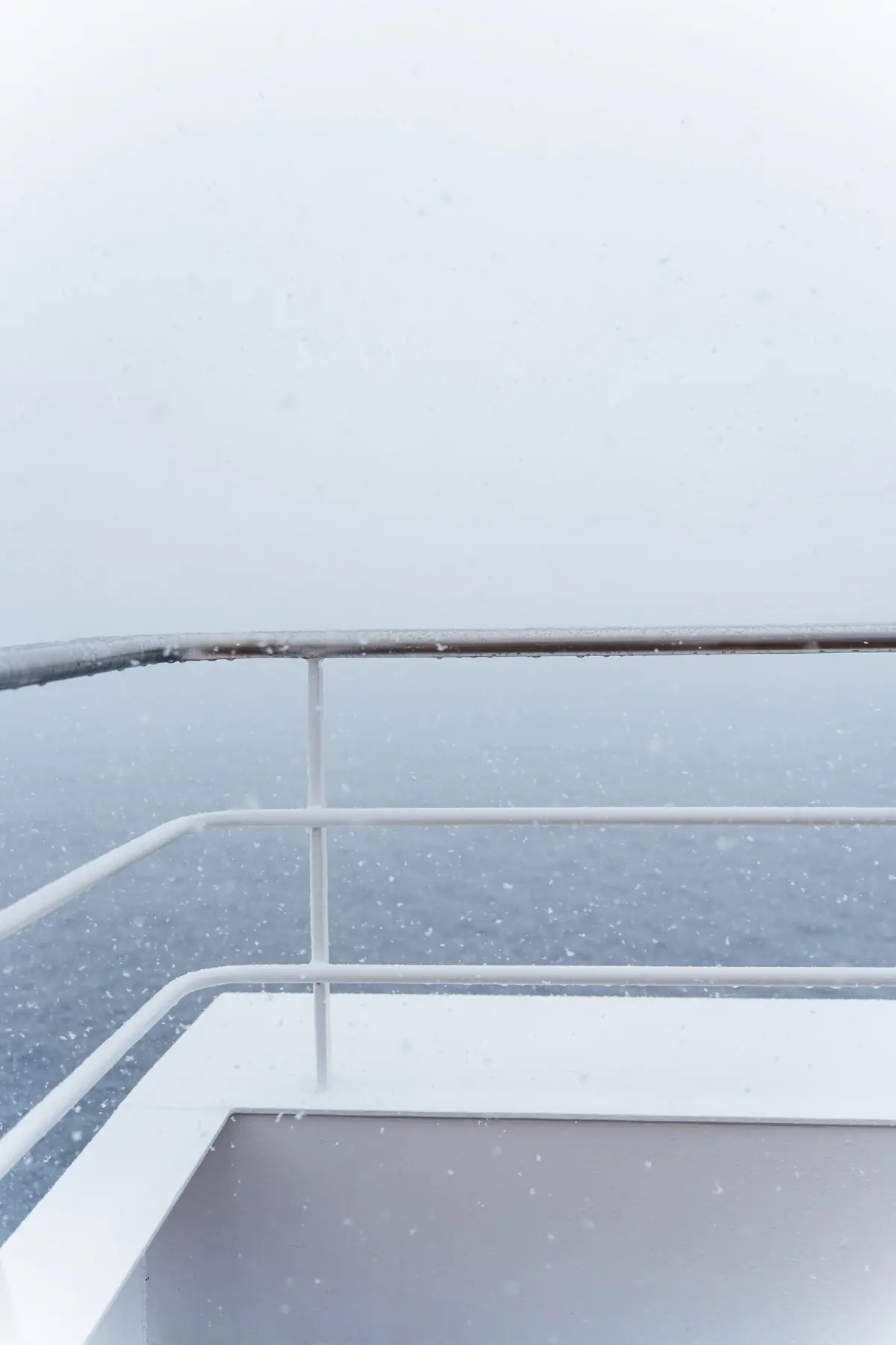 Антарктида 2026. фото 153