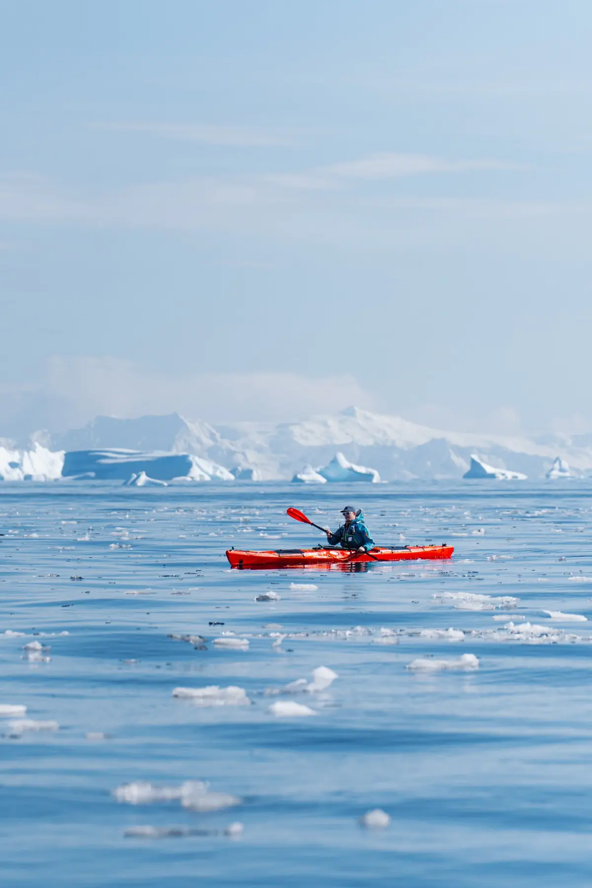 Антарктида 2026. фото 154