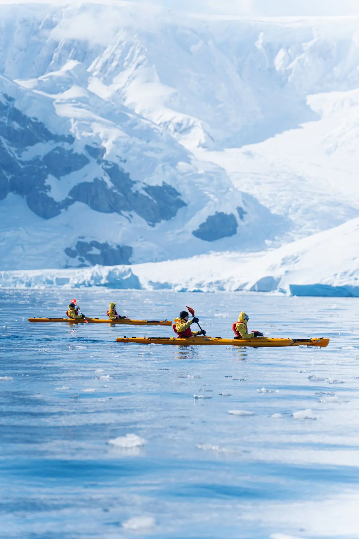 Антарктида 2026. фото 156