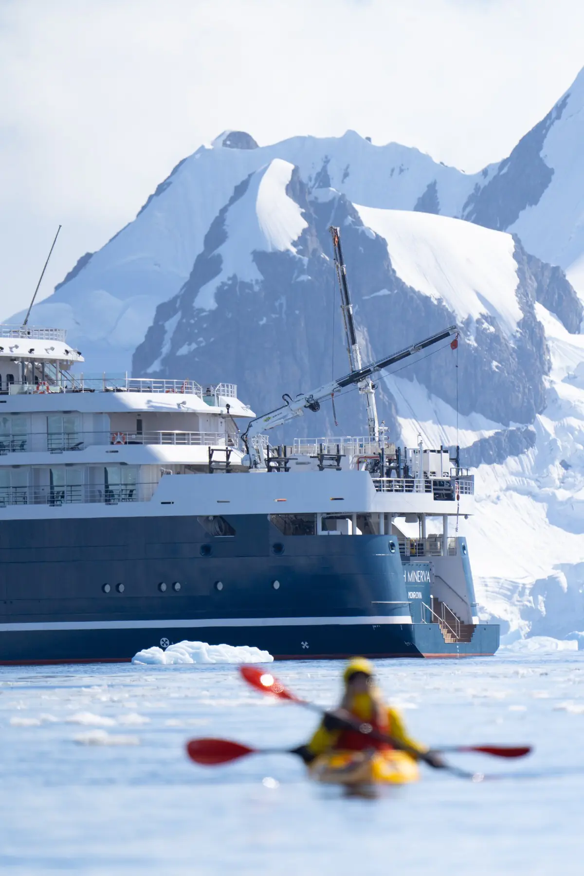 Антарктида 2026. фото 158