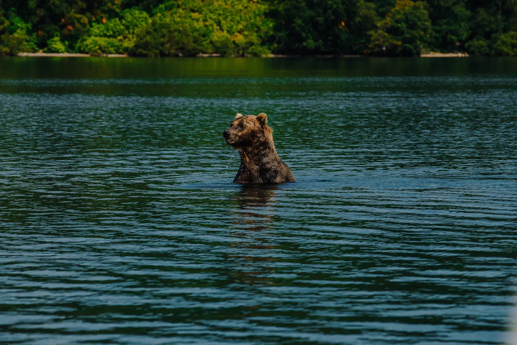 Экспедиция на Камчатку. фото 25