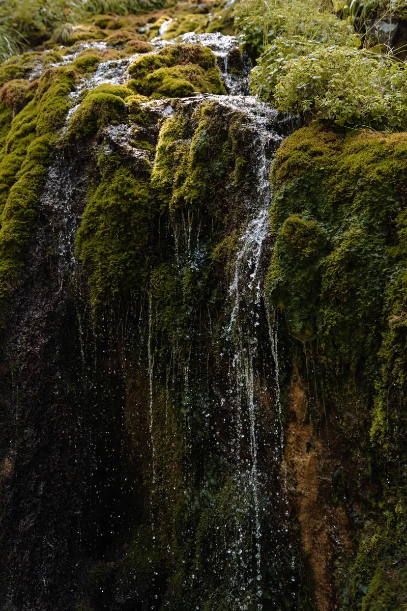 Путешествие на Алтай. фото 49