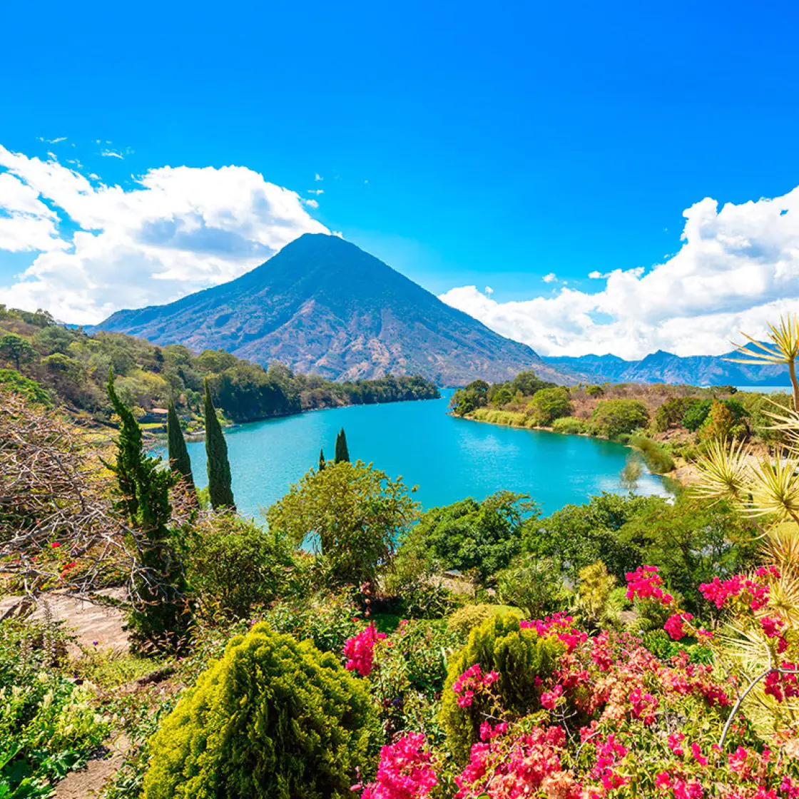 К чудесам природы 